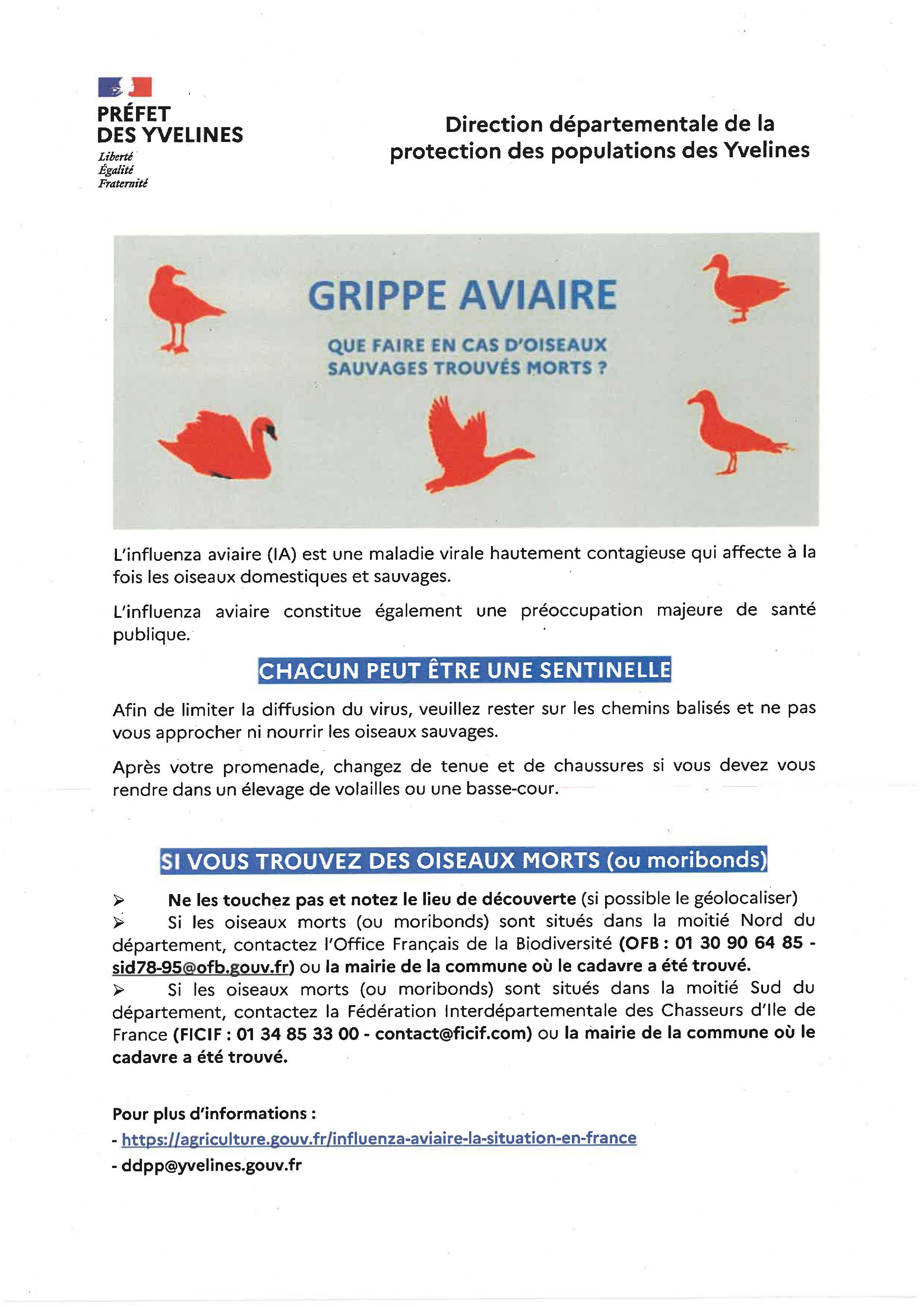 Influenza Aviaire Hautement Pathogène IAHP Page 5