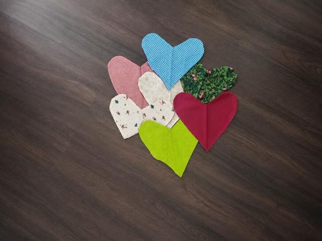COussins-coeur